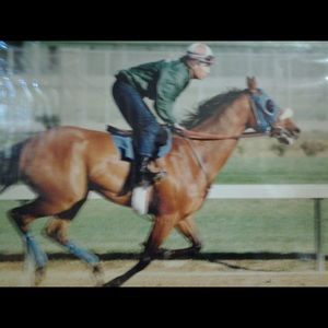 Meet your Posher, Mario